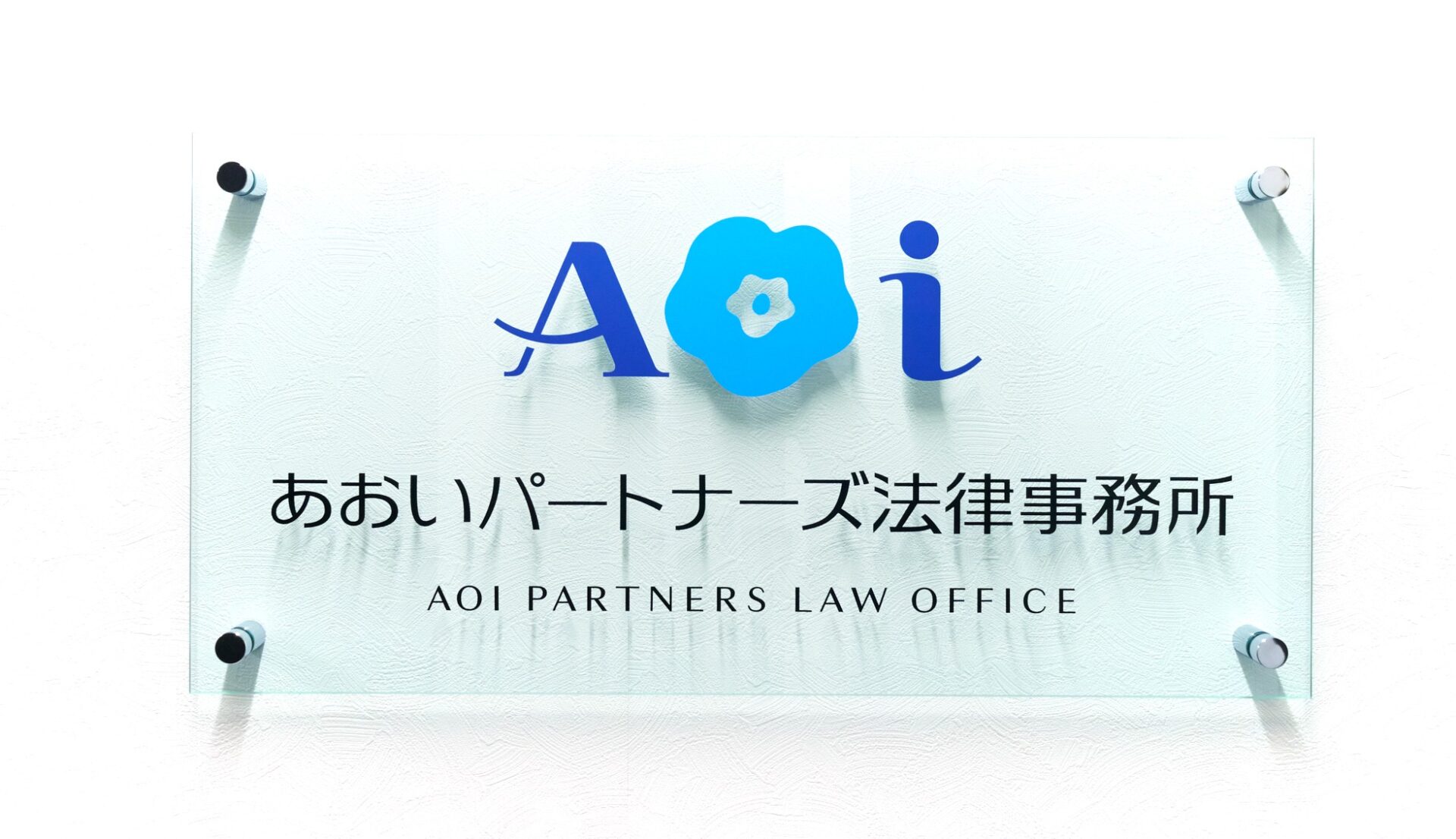 ホームページ開設から１年を迎えました